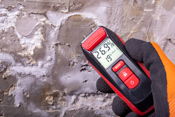 Best DIY Mold Remediation Support Services in Ivey, GA